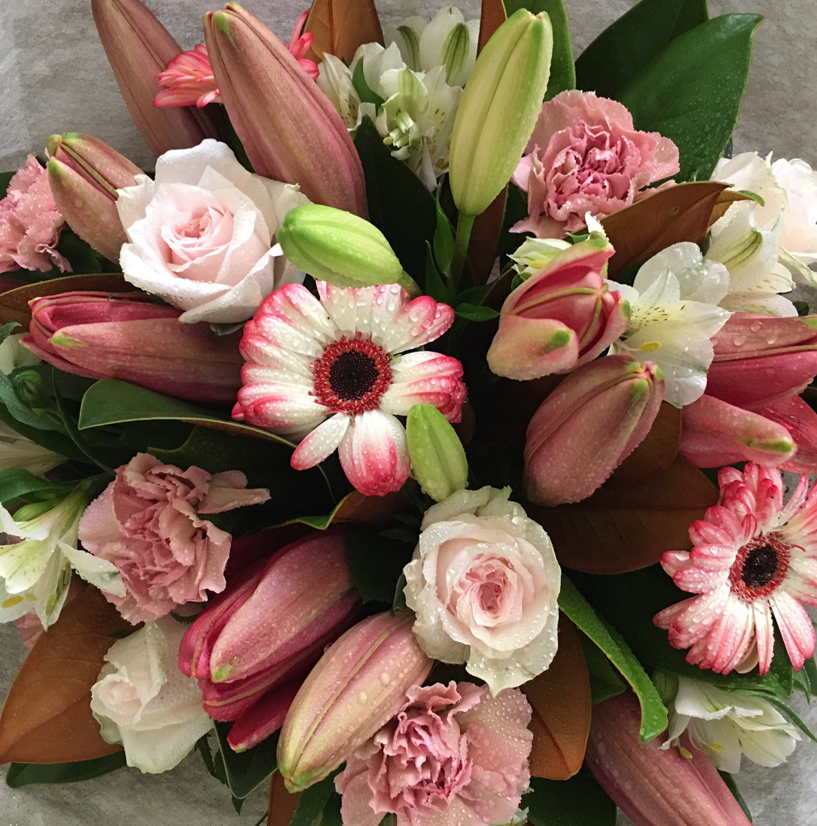 Miramar Florist, Wellington Wellington Flower Co.