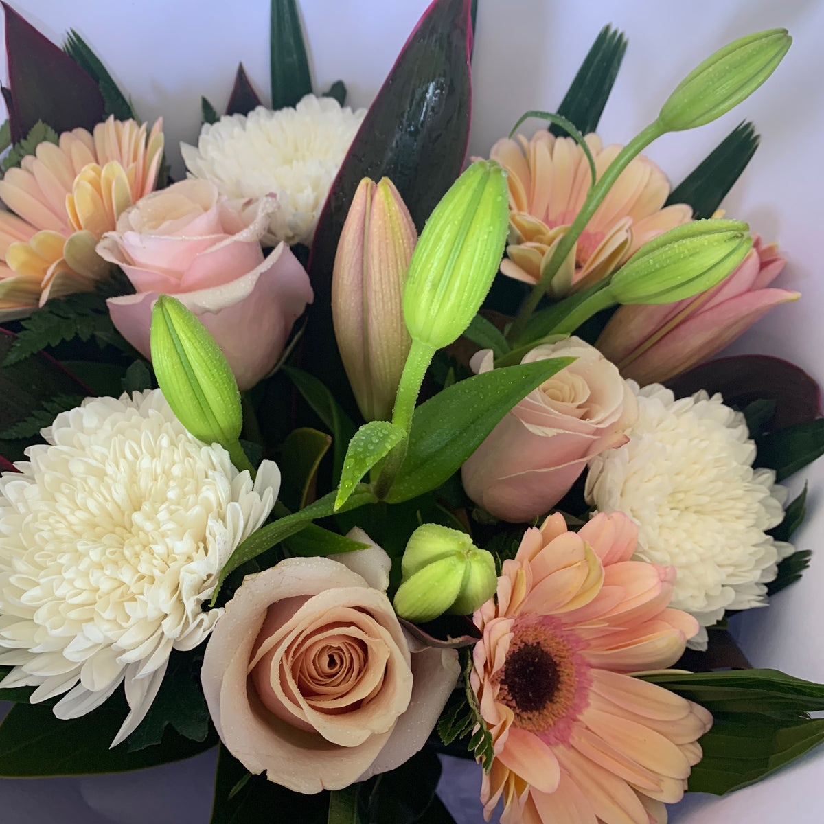 All Products Page 3 Wellington Flower Co.