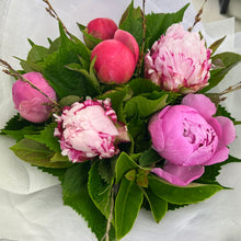 Load image into Gallery viewer, PEONIES