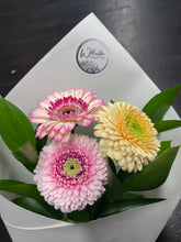 Load image into Gallery viewer, Gerbera