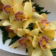Load image into Gallery viewer, Wellington Flower Co. delivers beautiful, fresh, gift-wrapped orchids throughout Wellington daily. 