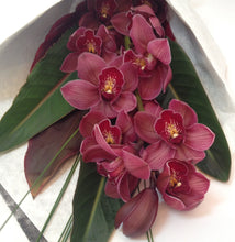 Load image into Gallery viewer, Fresh cut orchids beautifully wrapped - Wellington Flower Co.