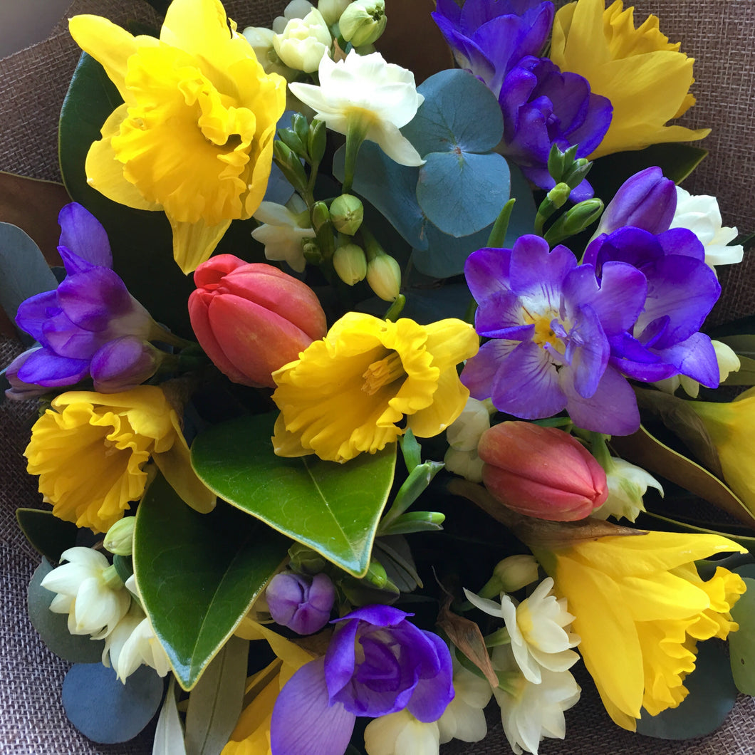 Spring Flower Posy - Wellington Flower Co.