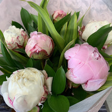 Load image into Gallery viewer, PEONIES