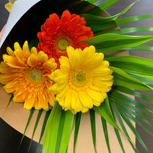 Load image into Gallery viewer, Gerbera