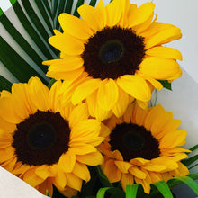 Load image into Gallery viewer, SUNFLOWERS
