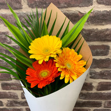 Load image into Gallery viewer, Gerbera