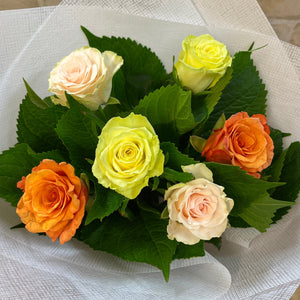 6 Roses assorted colours