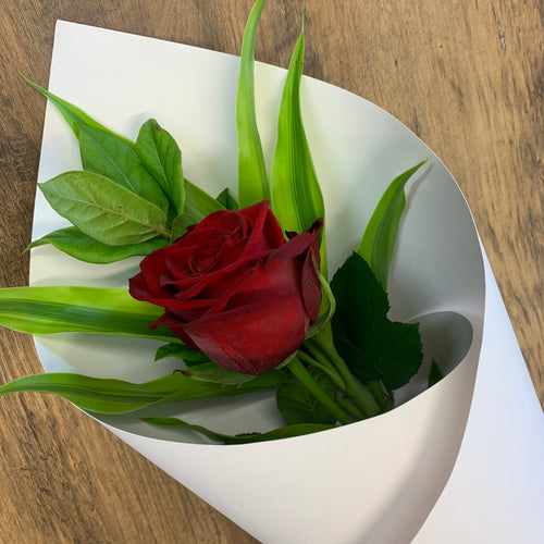 Red Rose - Wellington Flower Co.