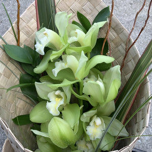 Orchid - Wellington Flower Co.