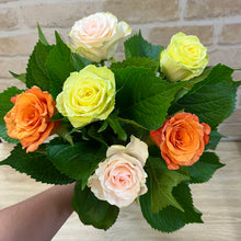 Load image into Gallery viewer, 6 Roses assorted colours