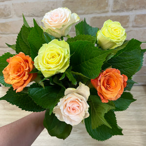 6 Roses assorted colours