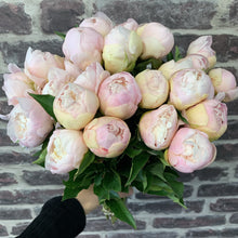 Load image into Gallery viewer, PEONIES