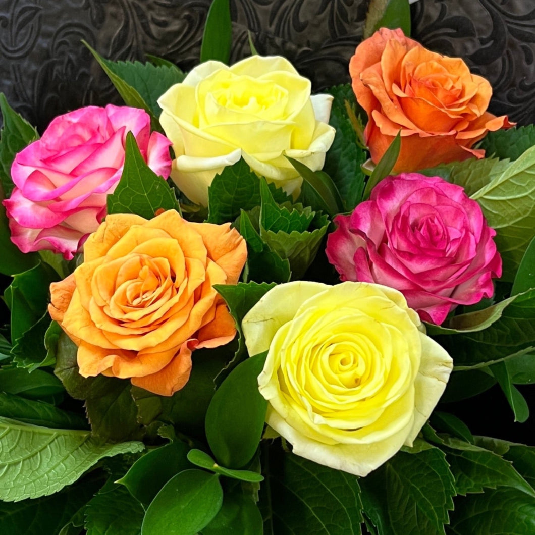 6 Roses assorted colours