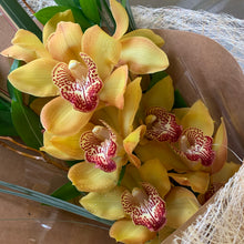 Load image into Gallery viewer, Orchid - Wellington Flower Co.